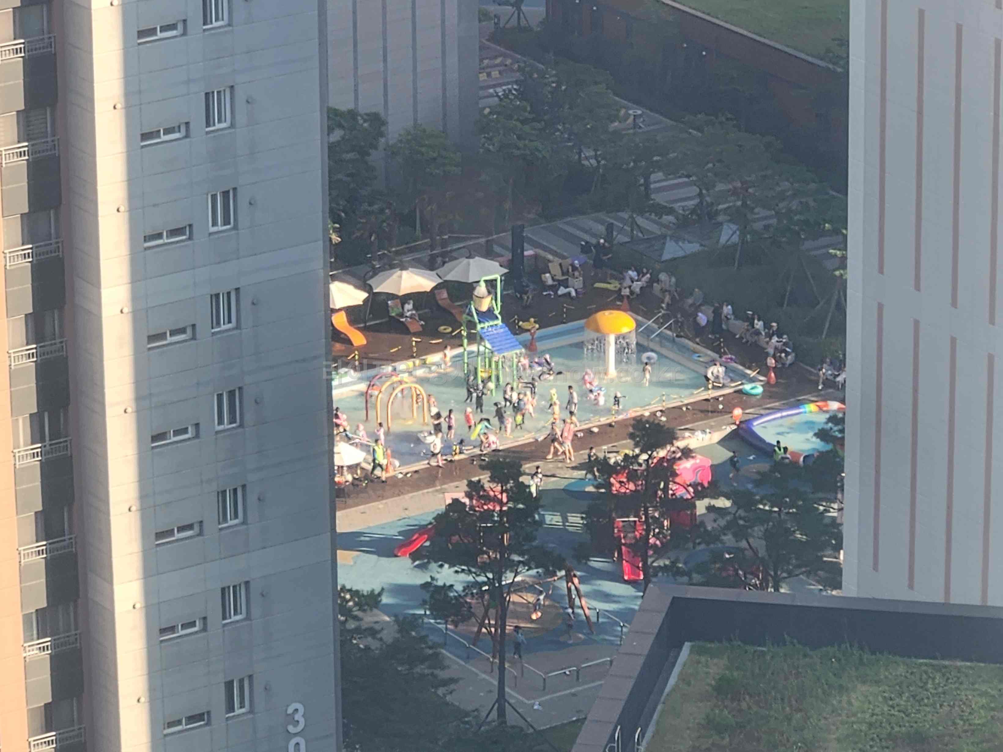 너무 덥네요 ㅜㅜ